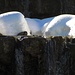 An der Schleifmühlenlaine gibt`s noch keine Eiszapfen wie in anderen Wintern.