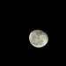 Unten zeigt sich dann sogar noch der Mond, heute mal oben etwas "angeknabbert". Aber besser angeknabbert, als gar kein Mond:-)<br />Frage an die Mondsachverständigen....das muss ja da oben ein großer Krater sein?<br />11.01.2012/22.22Uhr
