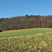 Aargauer Jura, bewaldete Hügel...