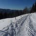 Skispur zur Unteren Bogmen: Achtung Rindvieh! Evt. auch im Winter mit Ski (könnte möglicherweise Lovely sein)
