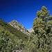 den Pfad 85 hoch Richtung Cerro de las Tres Cruces