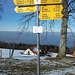Der Wegweiser beim Fünfländerblick (899 m).