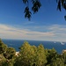 Blick im Aufstieg zu Castillo de Gibralfaro hinaus aufs Meer