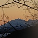 Das Morgenrot über dem Alpstein ist nur durchs Geäst zu sehen.