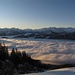 Morgenstimmung über den Zentralschweizer Alpen
