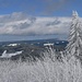 Blick über den Schwarzwald vom Seebuck aus