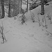 Hier die Bilder von mir (83_Stefan) - dem Charakter der Tour entsprechend heute alle in schwarz-weiß.
Viel Schnee selbst im Wald.
