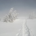der breite flache Gipfelrücken ist wie geschaffen für`s Schneeschuhlaufen...