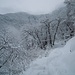 Inverno in Val d'Ambra