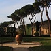 Südlich der Sendeanlage des Radio Vaticana liegt ein kleiner Garten der etwa 2m höher ist als der eigentliche Colle Vaticano ist. An den Rändern des Gartens erkennt man aber, dass dieser künstlich aufgeschüttet wurde.<br /><br />Die Mauer im Hintergrund ist die Mura Leonine. Sie wurde im 9. Jahrhundert als Befestigungsanlage errichtet und schützte den Roma-Stadtteil Borgo und einen Großteil des Vatikans vor Angriffen durch die Sarazenen.