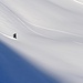 Snowboard Fun Alp digl Oberst