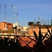 Aussicht über die grünen Oasendächer von Roma (37m) in der Via Rasella.