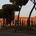 Roma (37m): Colosseo.