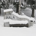 Alpe Pala: Inizio e fine dell’escursione