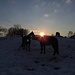 Pferde-Idylle beim eiskalten Sonnenuntergang