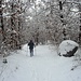 sentiero  nella neve