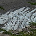Glaciar del Francés im Valle Francés