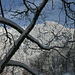 Durchblick