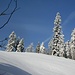wunderschöne Winterlandschaft