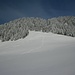 Aufstieg von der Seefluhalpe zum Waldrand hinten links, wo der Anstieg beginnt