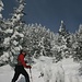 zunehmend steiler geht es im Wald empor