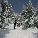 Aufstieg in traumhafter Winterlandschaft