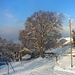 Alpe della Bolla: calziamo le ciaspole