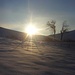Arriva il sole