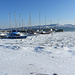 Hafen von Grandson 2