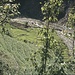 Es geht gen Pokhara, die Vegetation wird üppiger, Reisfelder säumen den Weg.