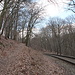 Unterwegs zwischen Hrad Oparno und Oparenské údolí - Rückblick. Links ist der von der Burgruine kommende Weg zusehen, rechts das Bahngleis der Strecke Teplice - Lovosice. 
