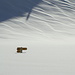 Ein Wegweiser - einsam und verloren im Schnee