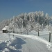Winter im Appenzell