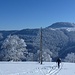 Hasenmatt vom Oberdörfer