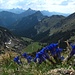 Frühling über dem Köllebachtal/Ammergauer Alpen