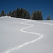 Was Skifahrer können, können Schneeschuhfreaks auch ;-)