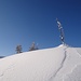 Schnee, Holz und Himmel