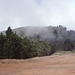 der Gipfel des Garajonay mit leichtem Nebel