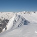 Fanenstock