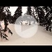 Skitour Waxenegg