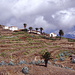 typische Landschaftsform im Süden von La Gomera
