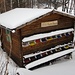 doch jetzt will ich die Schneeverhältnisse an der Grenze Oberaargau-Emmental testen; hier sieht's bei unseren Nachbarn noch sehr farbig und gemütlich aus