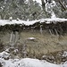 Sandstein-Nagelfluh-Konglomerat - mit Eiszapfen