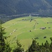 Terassenanbau im Lechtal (Tirol)  :-)