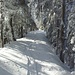 (meine) Spuren im Schnee