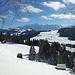 nochmals ein Blick Richtung Säntis, bevor's durch den Wald den Nordhang abwärts nach Hämmliloch geht