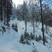 im Hämmliloch (Blick zurück)