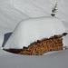 Gefälltes wie lebendes Holz ächzen unter der Last des Schnees