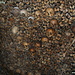 Dentro le catacombe di Parigi