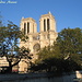 Cattedrale di Notre-Dame